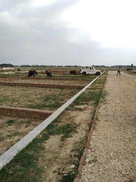  Residential Plot 1000 Sq.ft. for Sale in Mirzapur, Mirzapur-cum-Vindhyachal