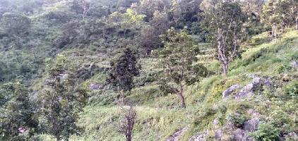  Commercial Land for Sale in Manjokhi, Rishikesh