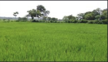  Commercial Land for Sale in Chakrata Road, Dehradun