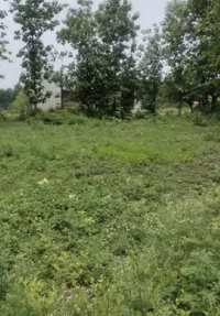  Agricultural Land for Sale in Chakrata Road, Dehradun