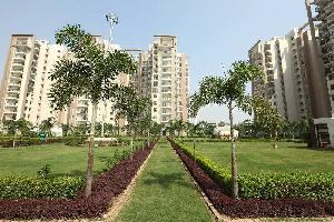 3 BHK Flat for Sale in Ambala Highway, Zirakpur