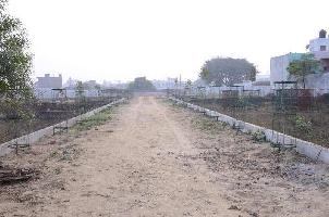  Residential Plot for Sale in Tala Nagri, Aligarh