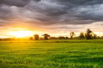  Residential Plot for Sale in Jhajhar, Gautam Buddha Nagar