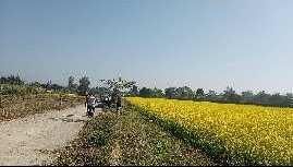  Agricultural Land for Sale in Vikas Nagar, Dehradun