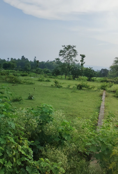 Solanipuram, Roorkee photo 5