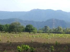  Residential Plot for Sale in Raipur, Dehradun