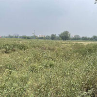  Agricultural Land for Sale in Khair, Aligarh