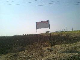  Agricultural Land for Sale in Basavana, Bijapur