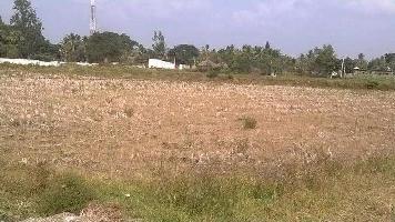  Commercial Land for Sale in Khushkhera, Bhiwadi