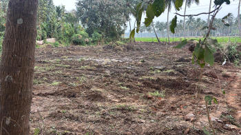  Residential Plot for Sale in Chittur, Palakkad