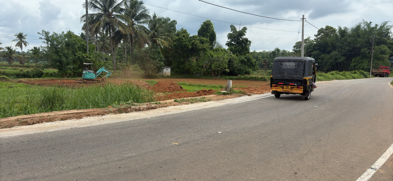 Kottayi, Palakkad photo 4
