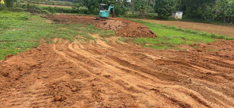 Kottayi, Palakkad photo 5