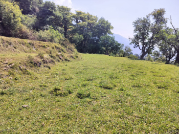 Agricultural Land for Sale in Tang Narwana, Dharamshala