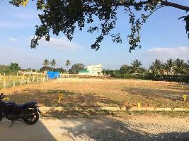  Residential Plot for Sale in Hoskote, Bangalore