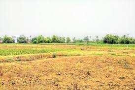  Residential Plot for Sale in Loharu, Bhiwani