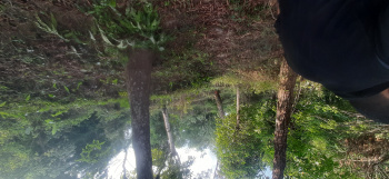  Residential Plot for Sale in 8th Mile, Kalimpong