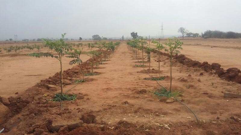  Agricultural Land 1 Acre for Sale in Adikmet, Hyderabad