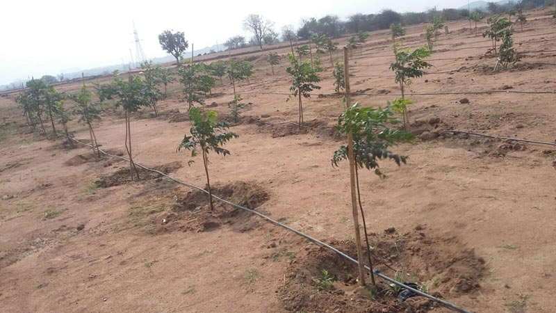  Agricultural Land 1 Acre for Sale in Adikmet, Hyderabad