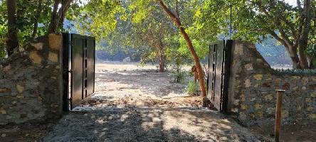  Agricultural Land for Sale in Thol, Ahmedabad