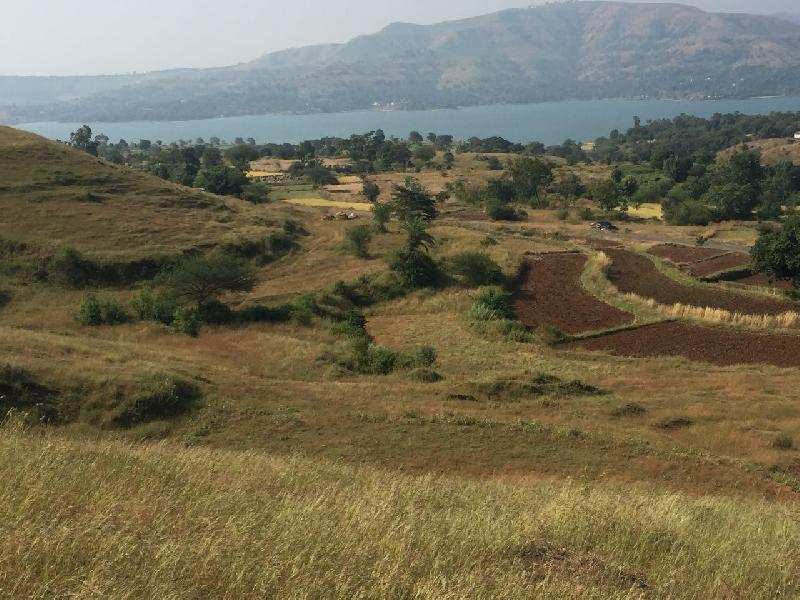 Agricultural Land 12 Acre for Sale in Bhor, Pune