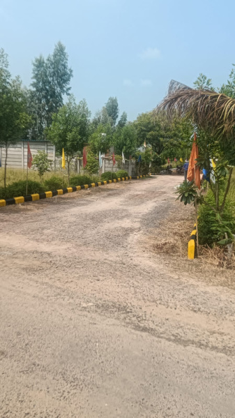  900 Sq. Yards Residential Plot for Rent in Anupshahr, Bulandshahr