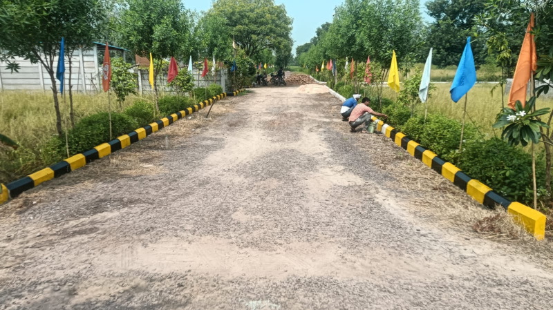  900 Sq.ft. Residential Plot for Sale in Chhata, Mathura