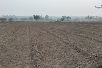  Agricultural Land for Sale in Girnare, Nashik