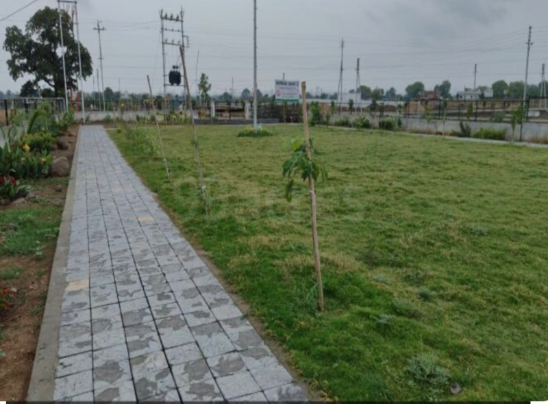  Residential Plot 2000 Sq.ft. for Sale in Bhusawal, Jalgaon