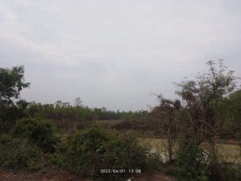 Agricultural Land for Sale in Ausgram II, Bardhaman