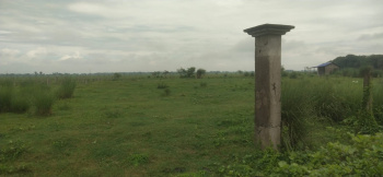  Agricultural Land for Sale in Burdwan-i Block, Bardhaman