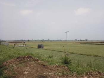  Agricultural Land for Sale in Mirzapur, Bardhaman