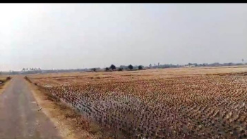  Agricultural Land for Sale in Kurmun, Bardhaman