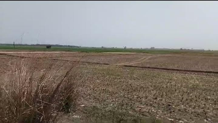Debagram, Bardhaman photo 3