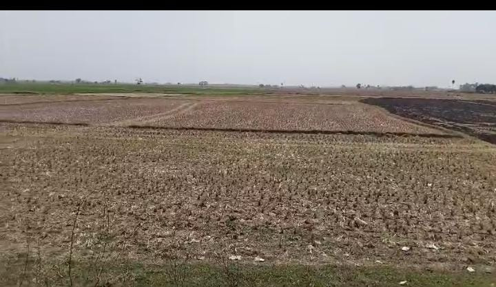 Debagram, Bardhaman photo 4