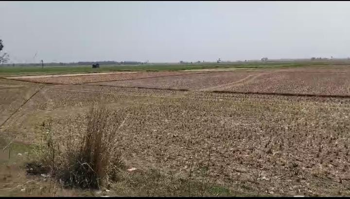 Debagram, Bardhaman photo 5