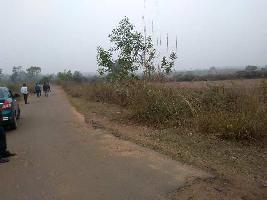  Agricultural Land for Sale in Gourangapur, Bardhaman