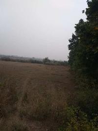  Agricultural Land for Sale in Gourangapur, Bardhaman