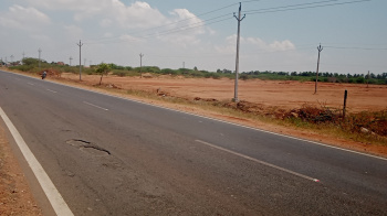  Agricultural Land for Sale in Vembar, Thoothukudi