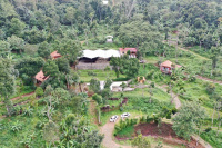  Agricultural Land for Sale in Thandikudi, Kodaikanal