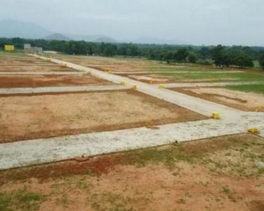  Residential Plot 50 Sq. Yards for Sale in Sector 165 Noida