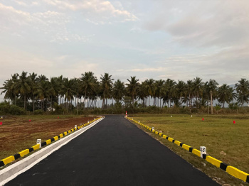  Commercial Land for Sale in Chinnalapatti, Dindigul