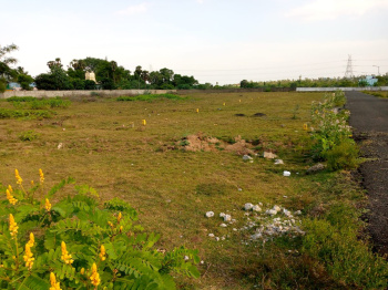  Agricultural Land for Sale in Kamrej, Surat