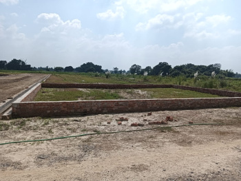  Residential Plot for Sale in Golambar, Buxar