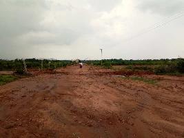  Agricultural Land for Sale in Alagar Kovil, Madurai