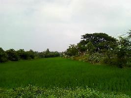  Commercial Land for Sale in Alanganallur, Madurai