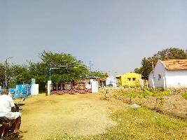  Agricultural Land for Sale in Pallapatti, Dindigul