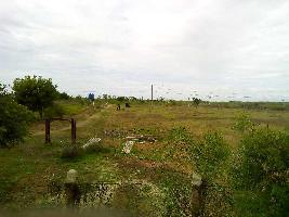  Commercial Land for Sale in Kappalur, Madurai
