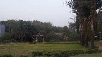  Agricultural Land for Sale in Marihan, Mirzapur-cum-Vindhyachal