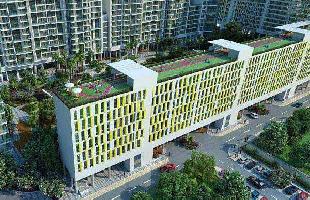 4 BHK Flat for Sale in DLF Phase IV, Gurgaon