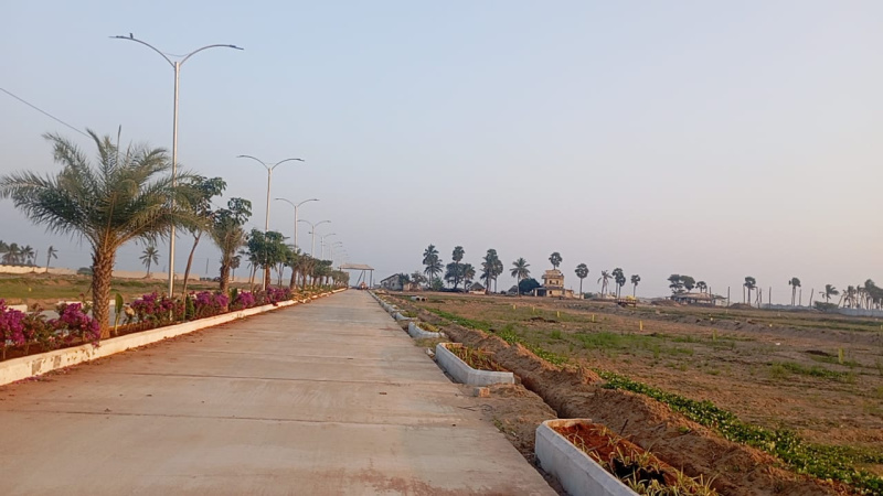  200 Sq. Yards Residential Plot for Sale in Chirala, Prakasam